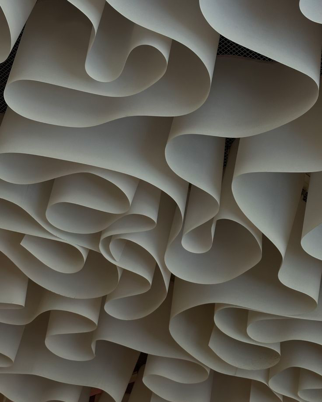 Transfer Pricing Risk Reviews and Impact Assessments