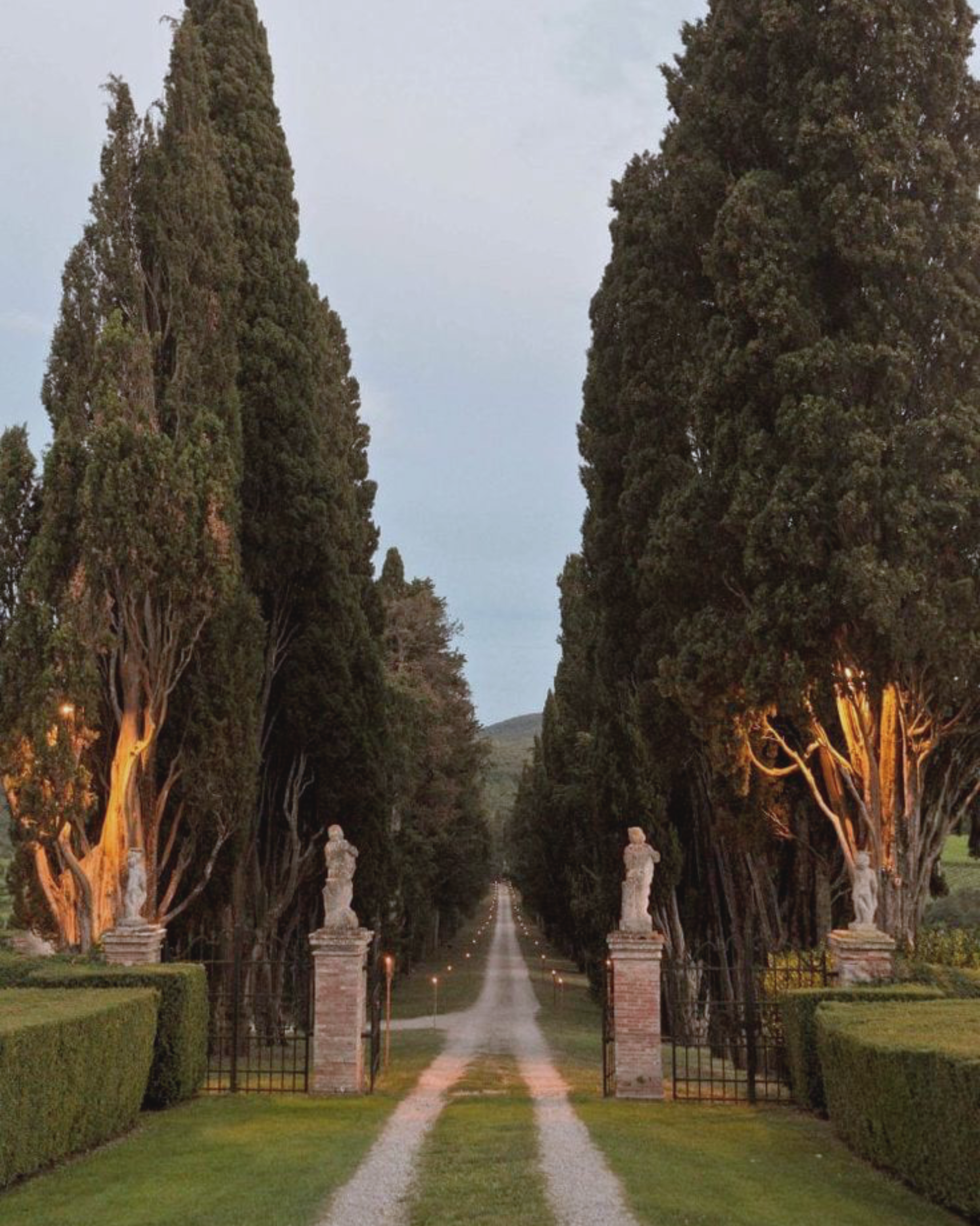 Family Wealth Management and Tax Advisory