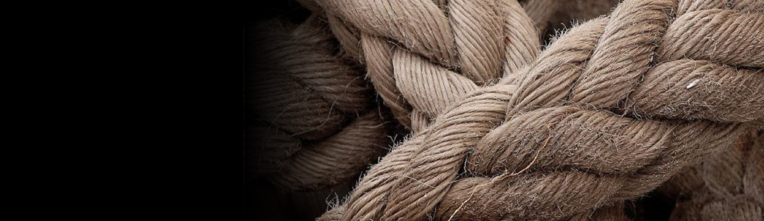 Embracing Holistic Solutions for Long-Term Growth