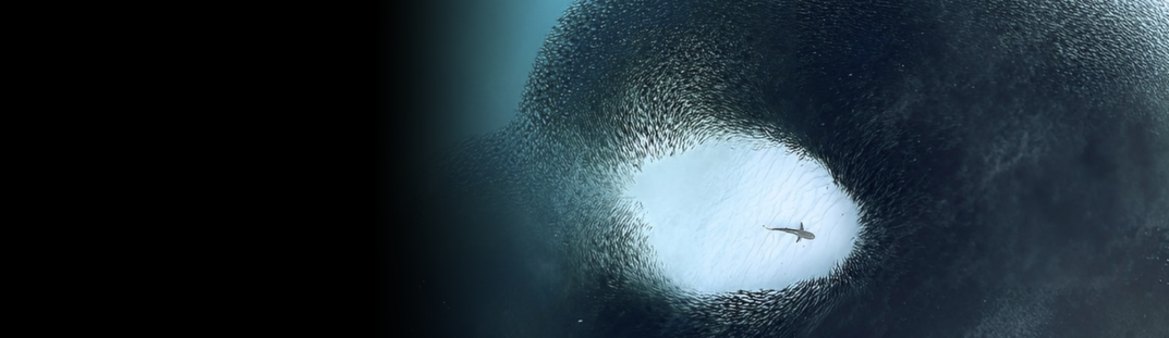 Navigating the Impacts of Regulation