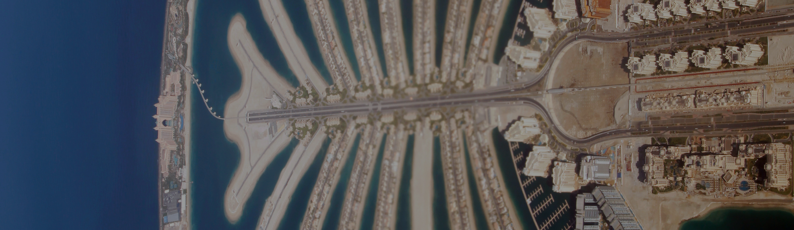 Immigration Updates: Golden Visa, Green Visa, and More