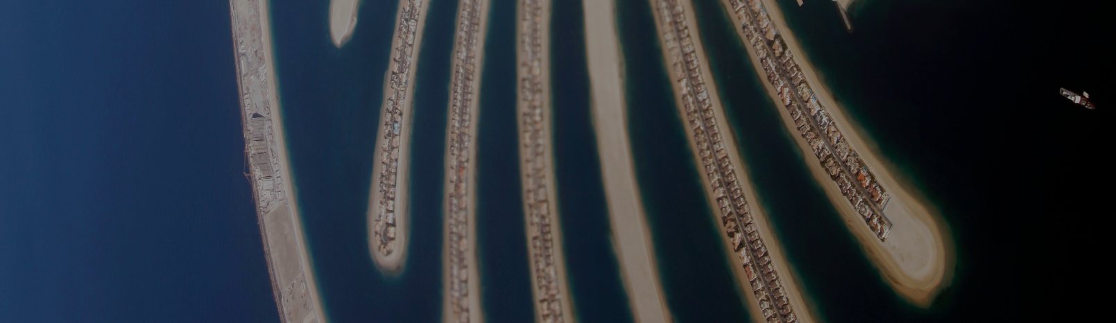 Labor Law Revisions and Emiratization Initiatives